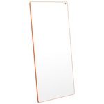 Vivolink Premium whiteboard 110"