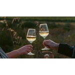 Rondleiding met wijnproeverij bij Bouza Winery