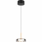 LED Hanglamp - Trion Lester - 10W - Warm Wit - 3000K - Dimbaar - IP20 - Rond - Mat Zwart - Metaal