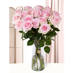 20 zachtroze rozen - Sweet Revival