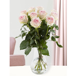 10 zachtroze rozen - Sweet Revival