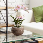 Slaapkamer behang Zwarte katten met roze bril