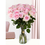 25 zachtroze rozen - Sweet Revival