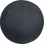 Leitz Ergo Actieve Zitbal, anti-rol design, 65cm werkstoel
