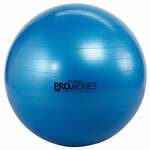 TheraBand SCP Pro Series Oefenbal 85 cm - zilver