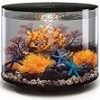 aquariums.jpg