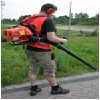 bladblazers.jpg