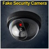 dummy-fake-cameras.jpg