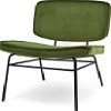 fauteuils-fluweel.jpg