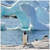 groepsrondreizen-antarctica.jpg