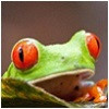 groepsrondreizen-costa-rica.jpg