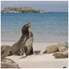 groepsrondreizen-galapagoseilanden.jpg