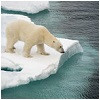 groepsrondreizen-spitsbergen.jpg
