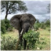groepsrondreizen-zuid-afrika.jpg