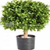 kunstplanten.jpg