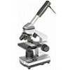 microscopen.jpg