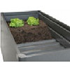 moestuinboxen.jpg