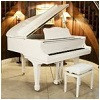 piano-vleugels-digitaal.jpg