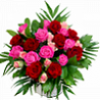 rozen.png