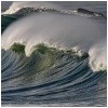 surfvakanties.jpg