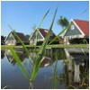 vakantieboerderijen-flevoland.jpg