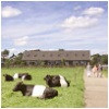 vakantieboerderijen-zuid-holland.jpg