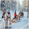 vakanties-lapland.jpg