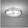 verlichting-plafondlampen-nikkel.jpg