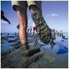 wadlopen.jpg